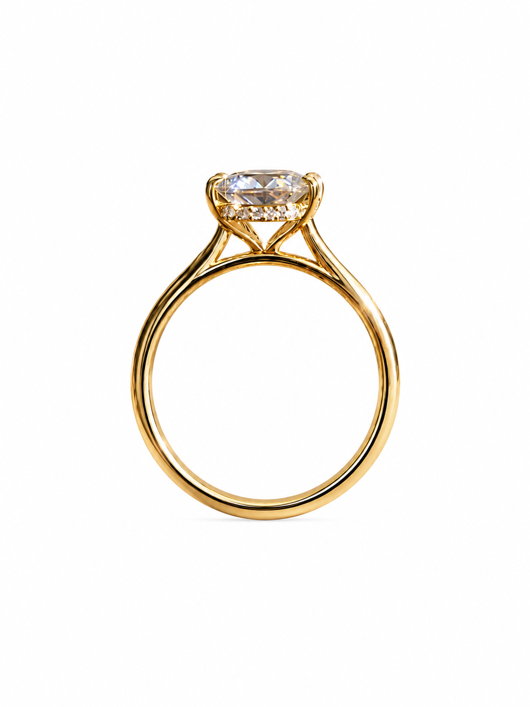 Princess Aurora Moissanite Ring - Heart Cut
